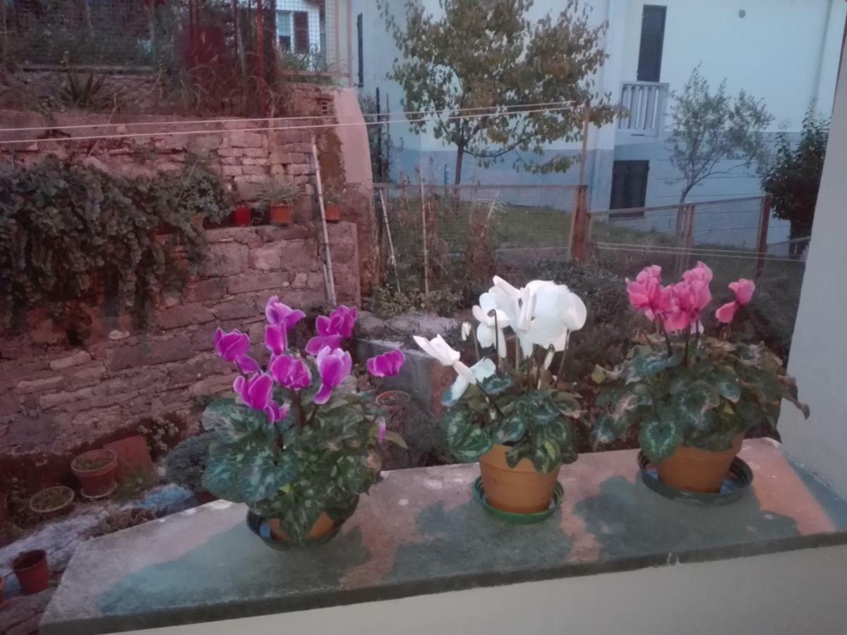 Il Borgo Antico Appartamento